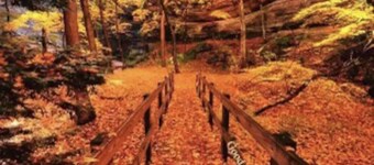 Starved rock area lovey home
