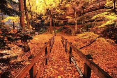 Starved rock area lovey home