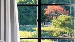 A bedroom with a large window, a bed with pillows, and a view of a forested area. - Risco de Hugo (Boquete)
