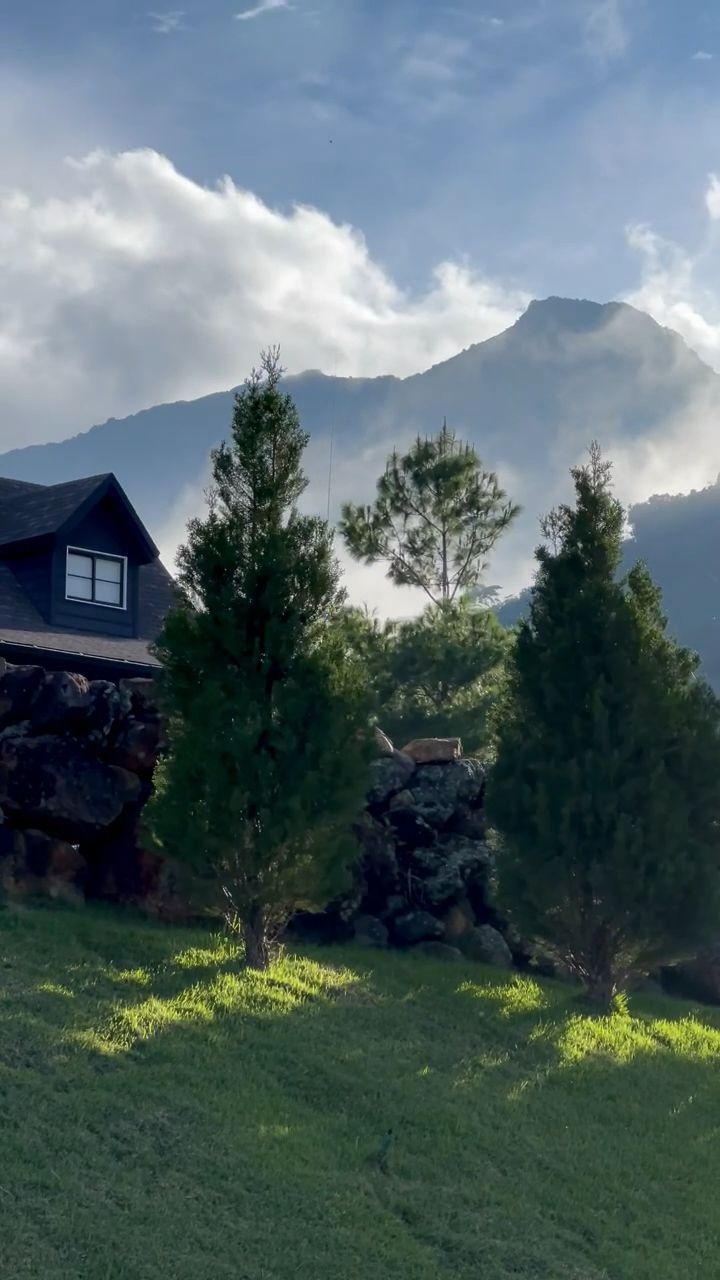 A house with a stone foundation and a dark roof, surrounded by a grassy field and trees.