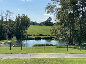 A serene park with a pond, grassy areas, and trees. - 3547 Pleasant Run Rd (Heltonville)