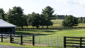 Un paysage rural avec une grange, un pâturage clôturé et des arbres.