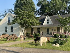 Exterior - 3547 Pleasant Run Rd (Heltonville)