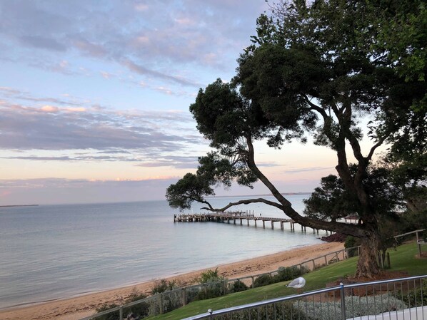 A coastal scene with a tree, a pier extending into the water, and a beach.