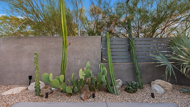 A cactus garden with various types of cacti and succulents, a concrete wall, and a wooden fence. - The Hidalgo House (Desert Hot Springs)