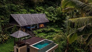 Pool - Cozy villa is by lush green landscapes views of hill valley and rice fields (Bali)