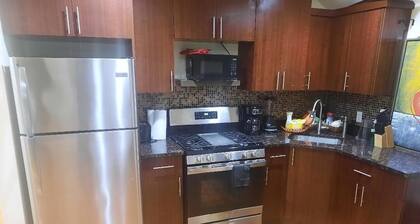 5 minutes from JFK, near local hospitals, and schools fully furnished Corporate