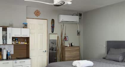 Modern Studio with Private Entry, A C & Hot Water in San Salvador