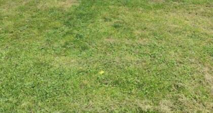 Petit Chalet Studio Dans un Hameau