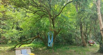 Petit Chalet Studio Dans un Hameau