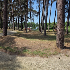 Een bebost gebied met hoge bomen, een betonnen pad en een speeltoestel.