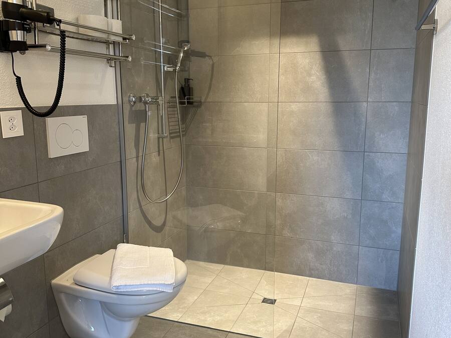 A modern bathroom with a shower, toilet, and sink.
