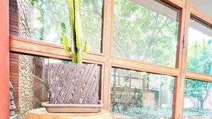 Ein Zimmer mit großem Fenster, einem Kaktus und einem schädelförmigen Pflanzgefäß mit Topf.
