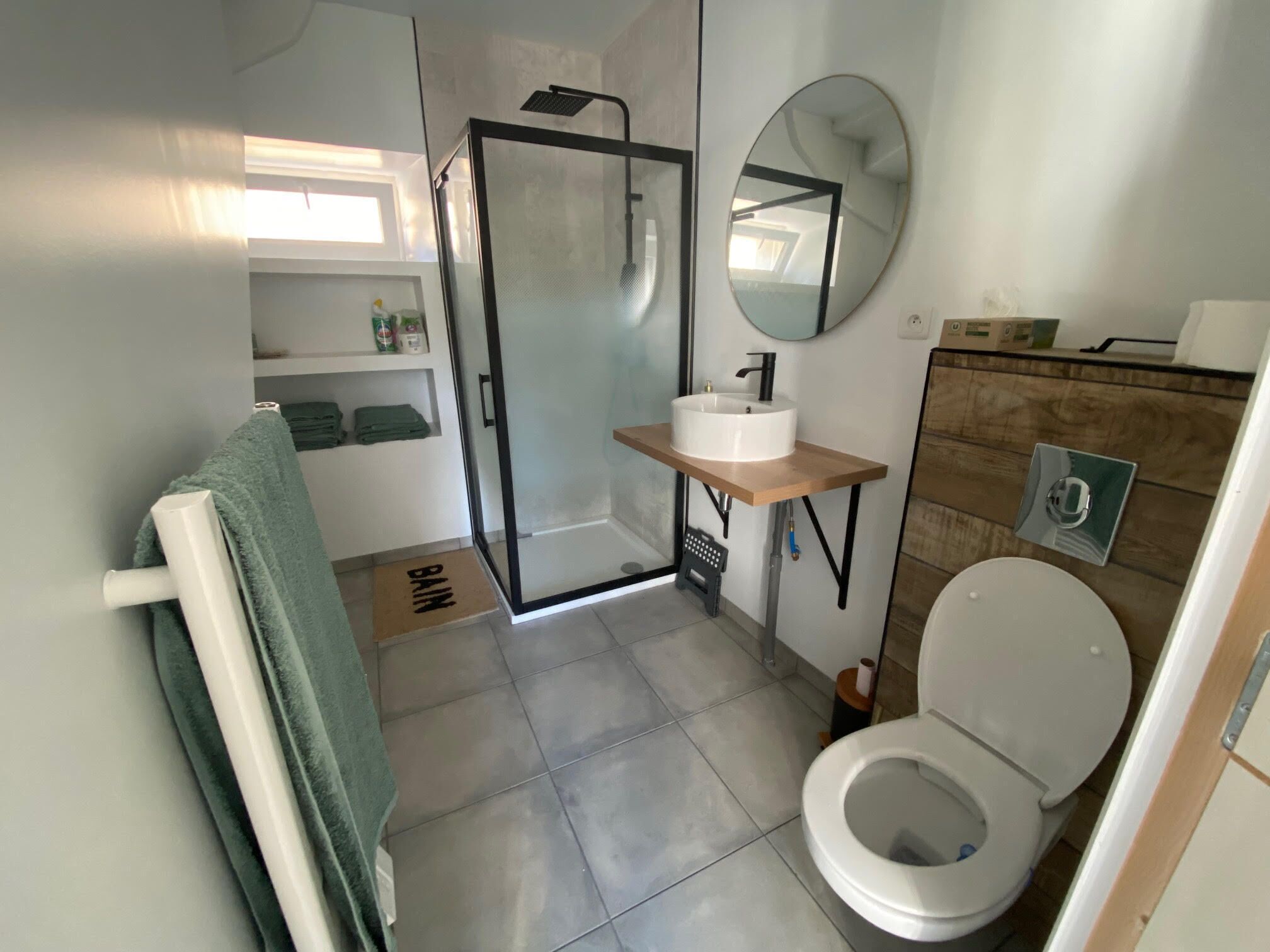 Shower, towels, toilet paper