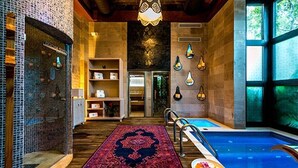 Un espace de détente avec une piscine, un tapis à motifs rouges et une étagère contenant divers objets.