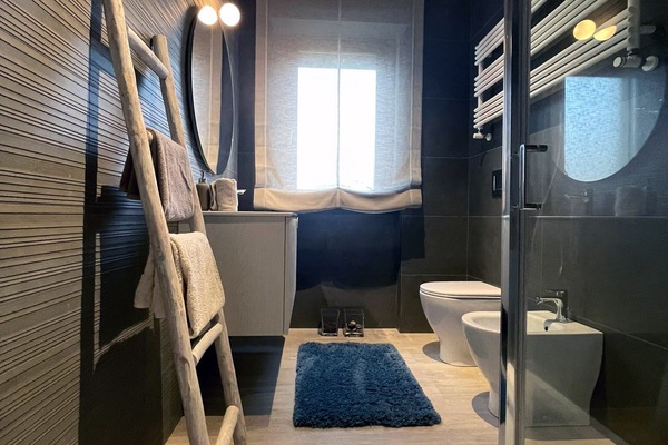 Dutxa, articles de tocador gratuïts, assecador de cabells i bidet