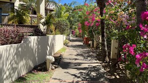 Een pad omzoomd met palmbomen en bougainvillea, dat naar een gebouw met een pannendak leidt.