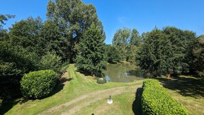 Een verzorgde tuin met een vijver, strakke hagen en diverse bomen.