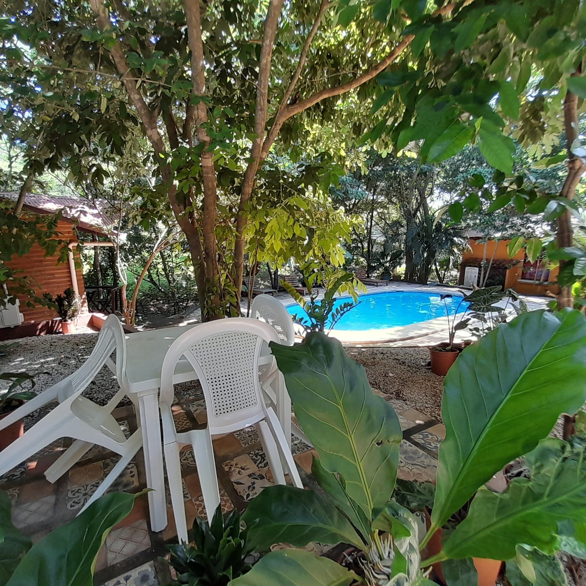 2 outdoor pools, open 7:00 AM to 10:00 PM, pool loungers