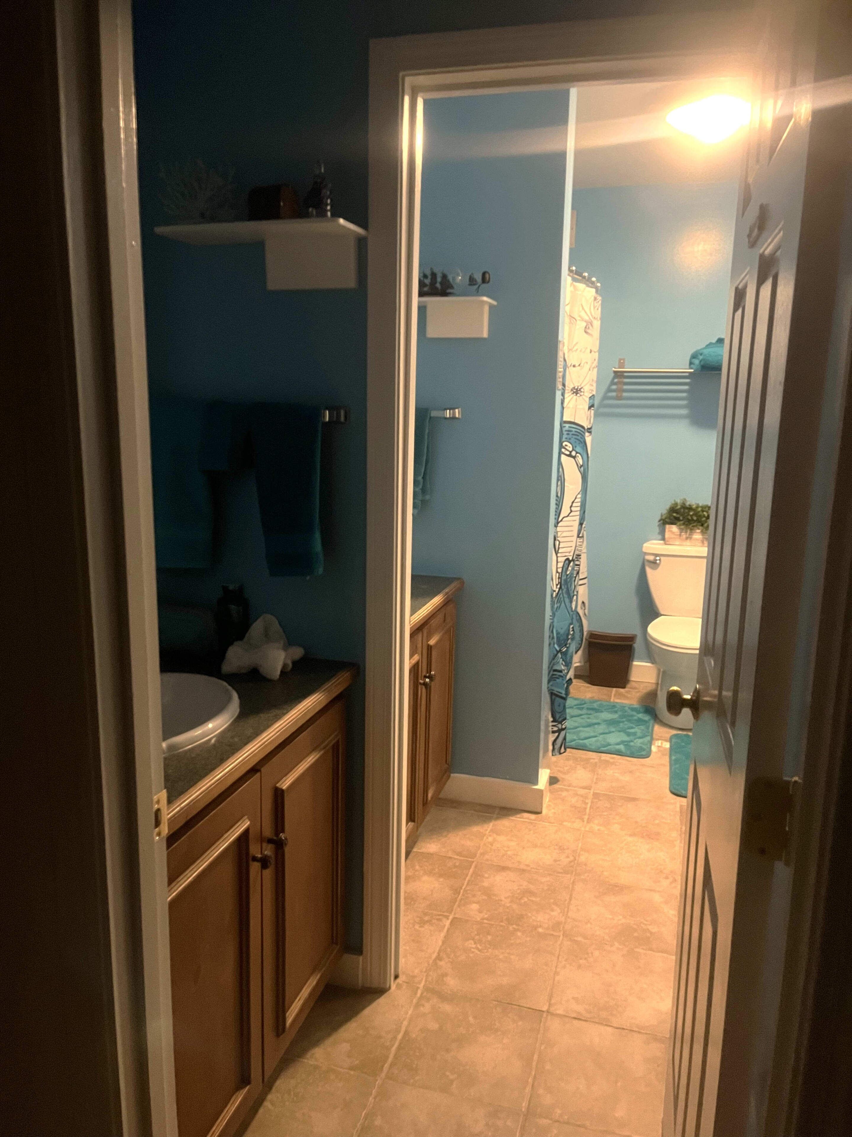 A narrow bathroom with a sink, mirror, and toilet. There is a towel rack and a small shelf above the sink. The walls are painted blue, and the floor is tiled.