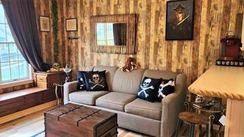 Télévision, lecteur de DVD, livres