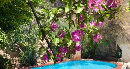 Zen villa . Enjoy the calm of the nature combine with the city .