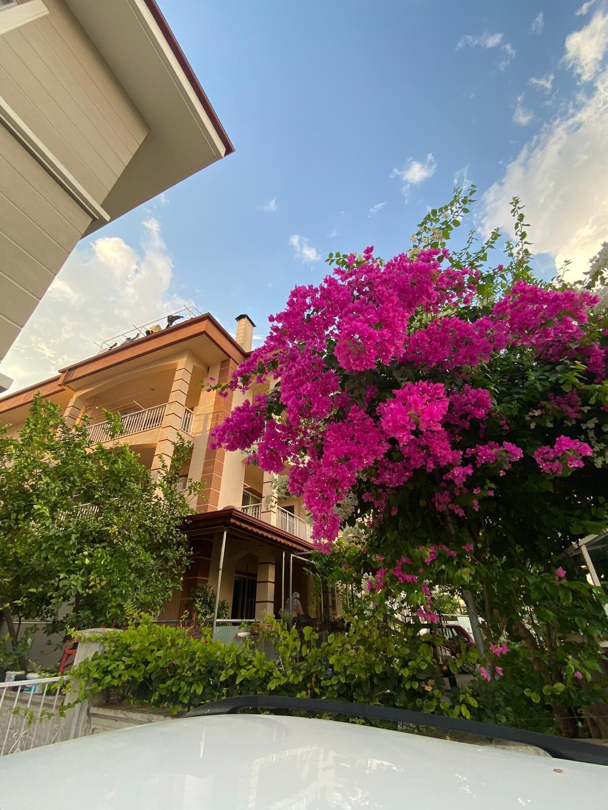 Foto - Tanaydın Evleri