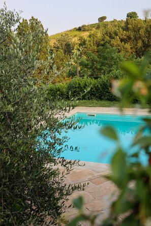 Outdoor pool - La moraiola - Characteristic Tuscan barn (Toscana)