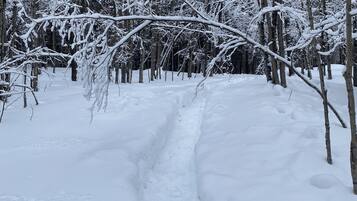 Deportes de invierno