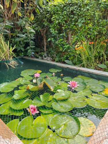 Beautiful Victorian Family Home in Gorleston on Sea by the beach
