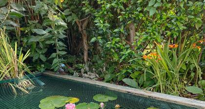 Beautiful Victorian Family Home in Gorleston on Sea by the beach