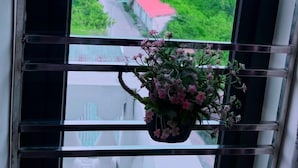 Terras