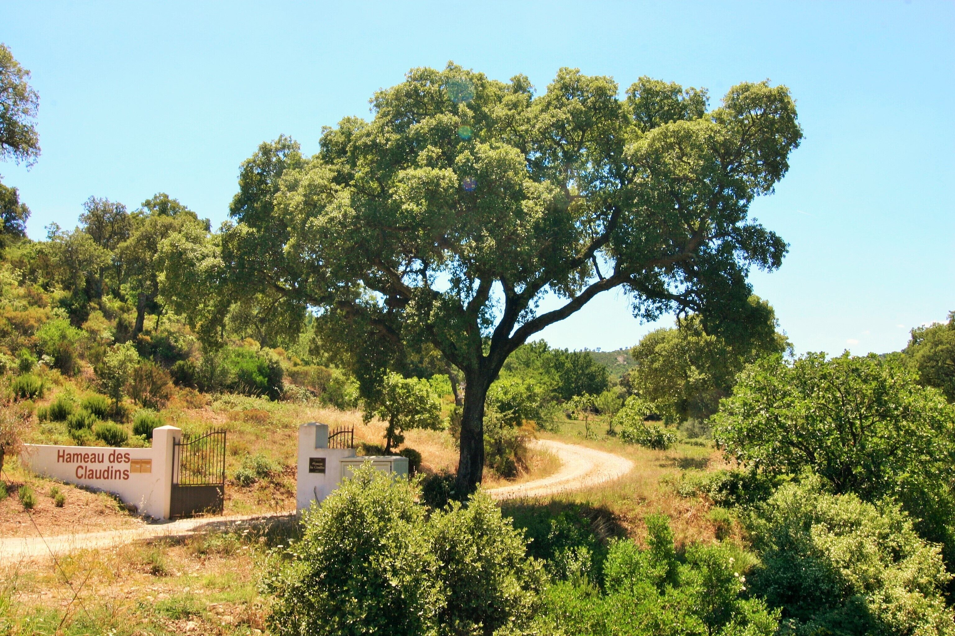 Un panneau indiquant « Hameau des Claudins », avec un grand arbre au premier plan et un sentier sinueux.