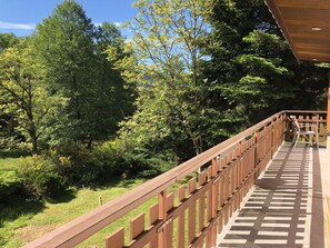 Property grounds - Chalet de la Soye (Pierre-Percée)