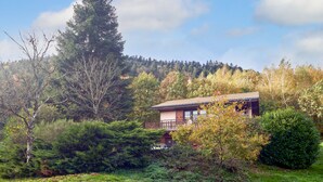 A house surrounded by dense forest and a clear sky. - Chalet de la Soye (Pierre-Percée)