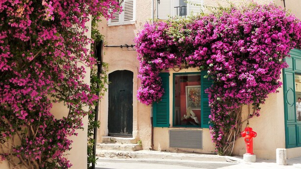 A building with a narrow entrance, a black door, and a window with green shutters. - Groot Modern Appartement Mazet 21 Privé Terras, Dakterras en Gezamenlijk Zwembad (Le Plan-de-la-Tour)