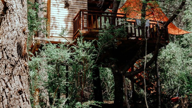 A treehouse with a wooden deck and a red roof, surrounded by dense forest. - TreeHouses Ljubač Glamping Robinson (Razanac)