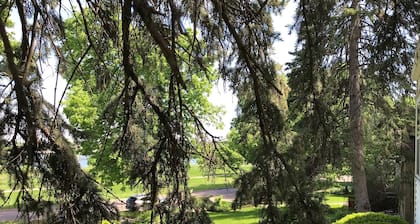 10,000 Lakes 10 minutes from airport!