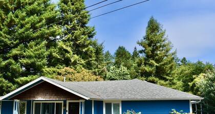 Lovely Craftsman Beach House in downtown, close to everything!