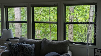 Treetop Retreat