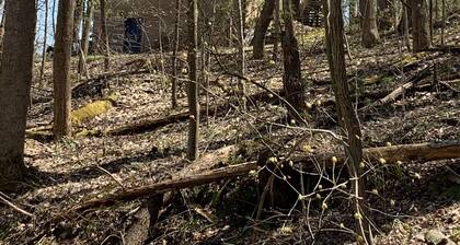 Lazy Bear Lodge 25 min to Beech Mountain Hot Tub and Pool Table