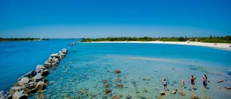 Playa en los alrededores, camastros y toallas de playa