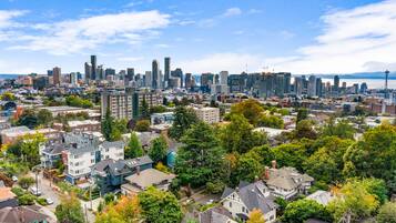 A cityscape with a mix of high-rise buildings and residential areas, including houses with visible front yards and trees.