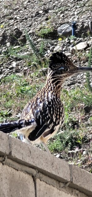 Nicht klassifiziertes Bild, 3 von 52, Schaltfläche