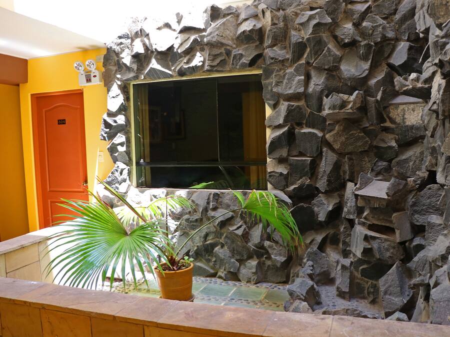 Un muro de piedra con una ventana, una planta en maceta y una puerta con un letrero de número.