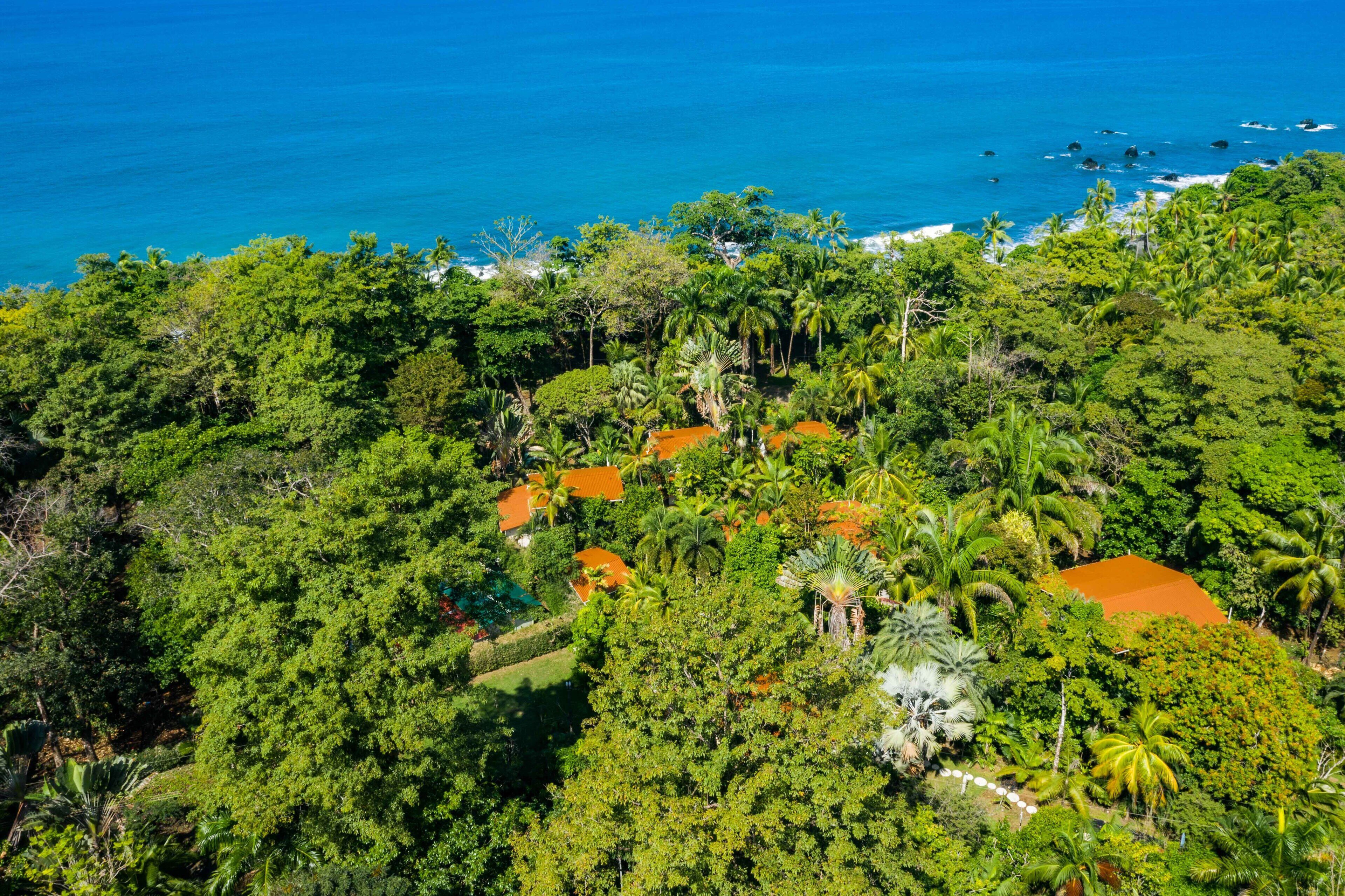 Un paysage tropical luxuriant, avec une végétation dense et quelques bâtiments aux toits orange.