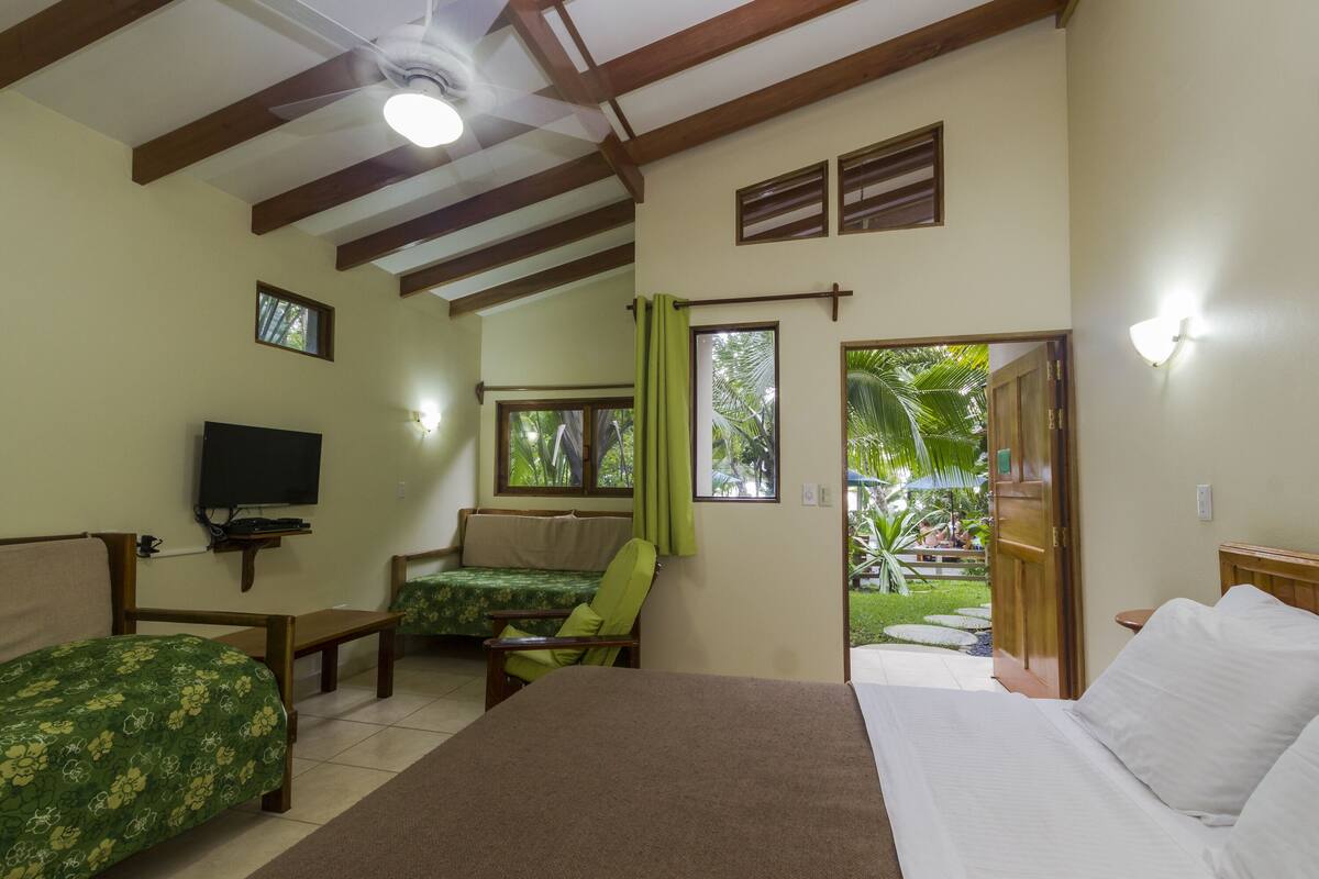 A room with a bed, a sofa, a TV, and a window with curtains.