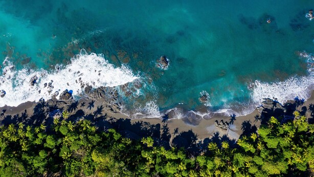 An aerial view of a beach with clear turquoise waters, dark sandy shore, and dense green vegetation. - LA PONDEROSA Beach & Jungle Resort (Pavón)