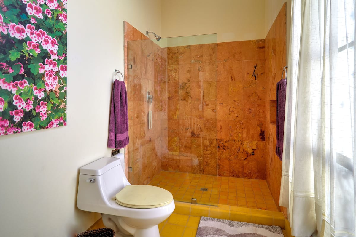 Klassieke kamer | Badkamer | Een haardroger, zeep, shampoo, toiletpapier