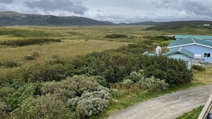 Paesaggio rurale con una casa dotata di antenna parabolica e tetto verde.